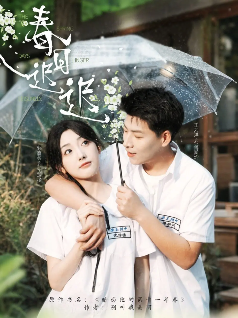 《春日迟迟》：都市爱情轻喜剧，霸道总裁爱上我，甜蜜撒糖的恋爱进行时！