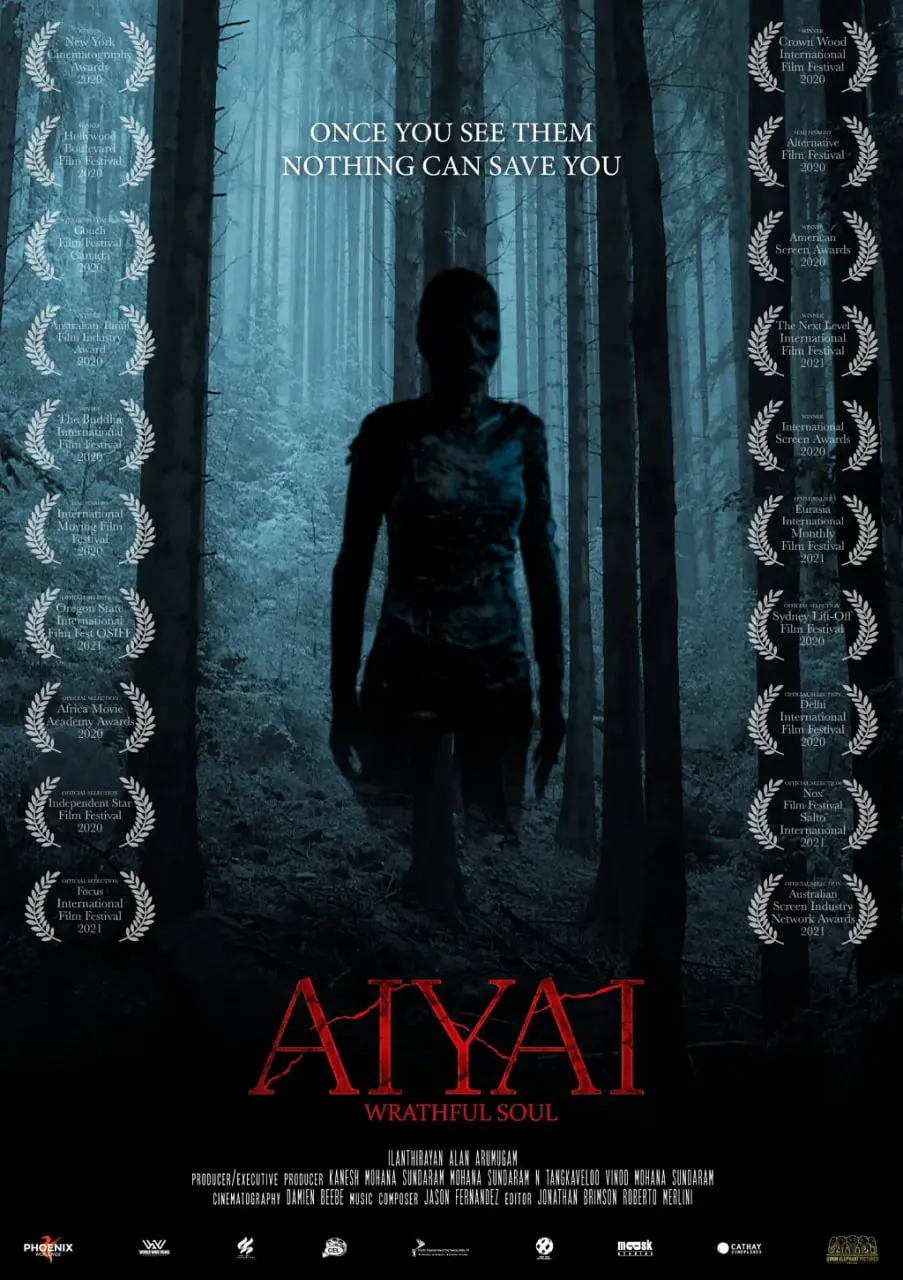 《愤恨的灵魂》：一部探讨复仇灵魂与家庭救赎的惊悚力作，揭开人性黑暗与情感救赎的深刻冲突